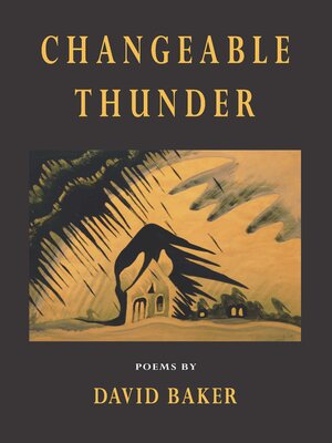 cover image of Changeable Thunder
